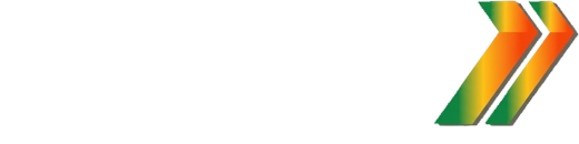 REALM Group Global